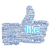 Facebook still a Top Searched Term in 2012: What this means for Businesses Facebook still a Top Searched Term in 2012: What this means for Businesses