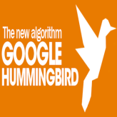 The Humming Bird Update and its effect to current SEO strategies The Humming Bird Update and its effect to current SEO strategies