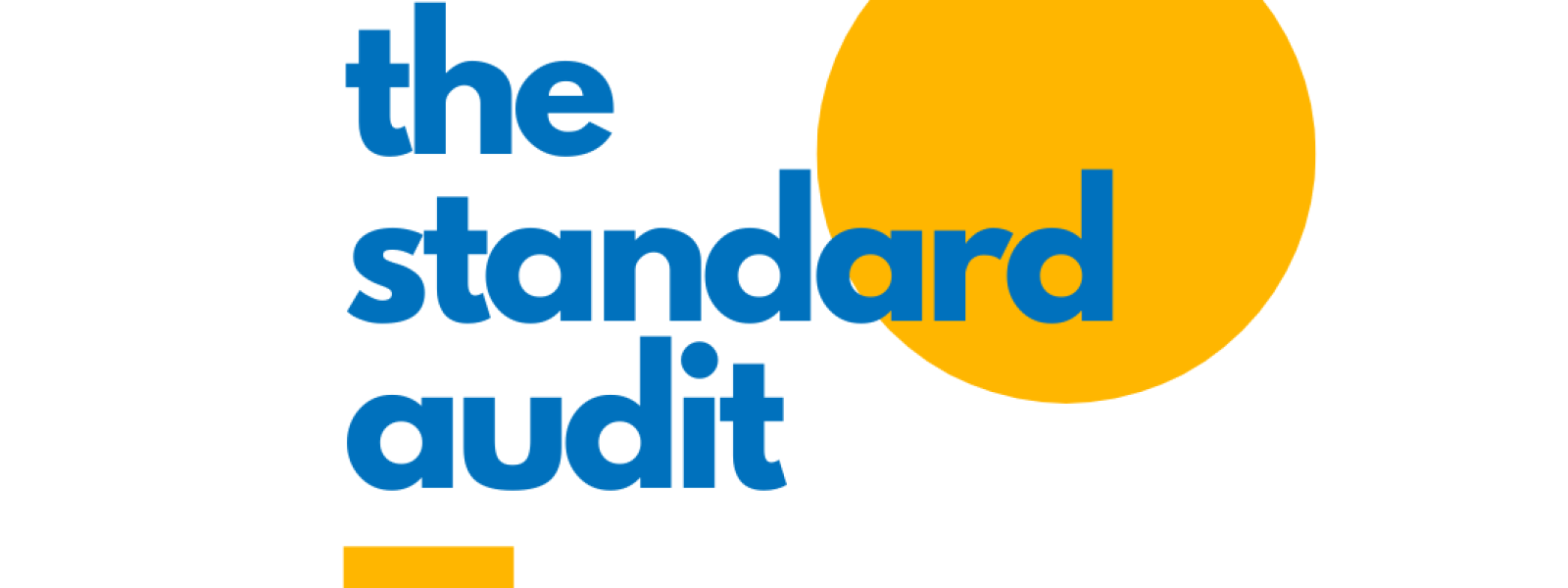 Standard SEO Consulting Audit