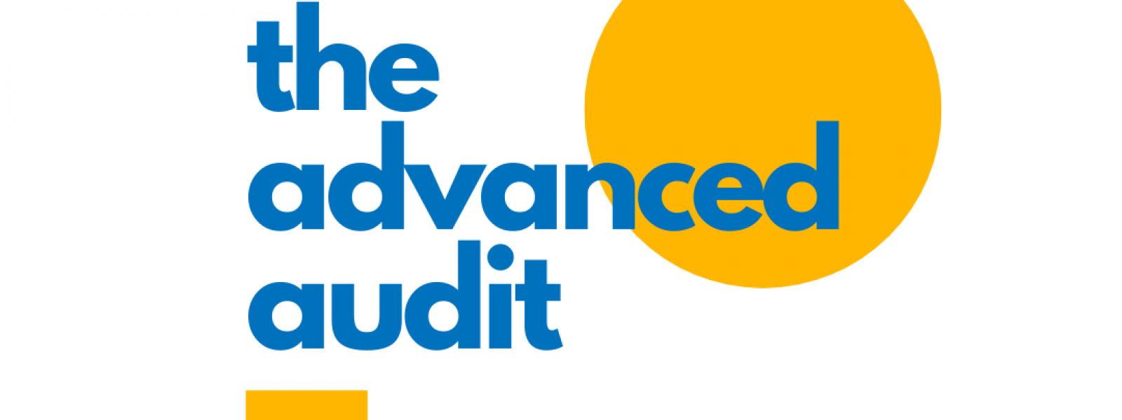 The Advanced SEO Consulting Audit